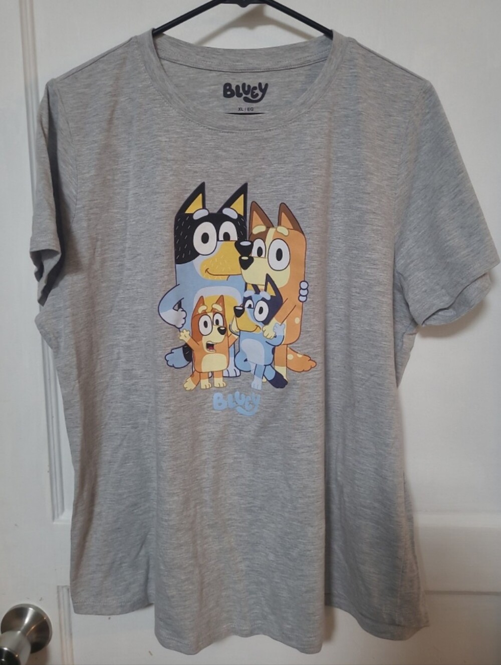 Bluey Gray Graphic Family Short Sleeve Tee XL